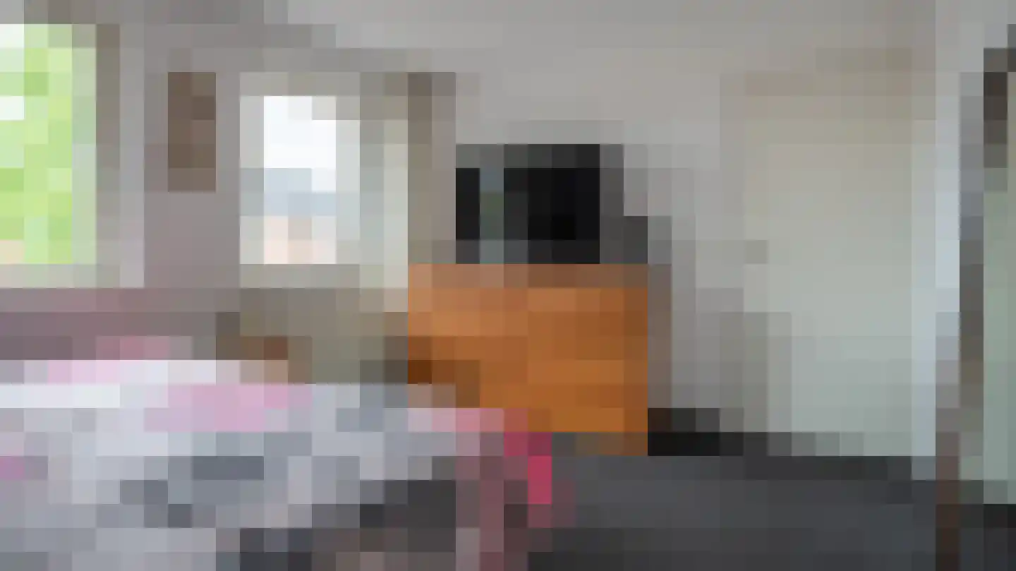 Bornerbroeksestraat 121 Almelo thumbnail 18