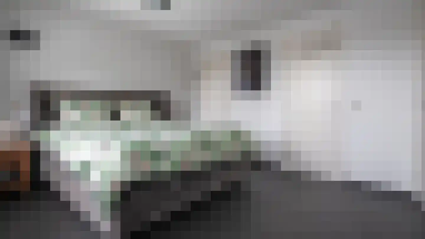 Bornerbroeksestraat 121 Almelo thumbnail 20