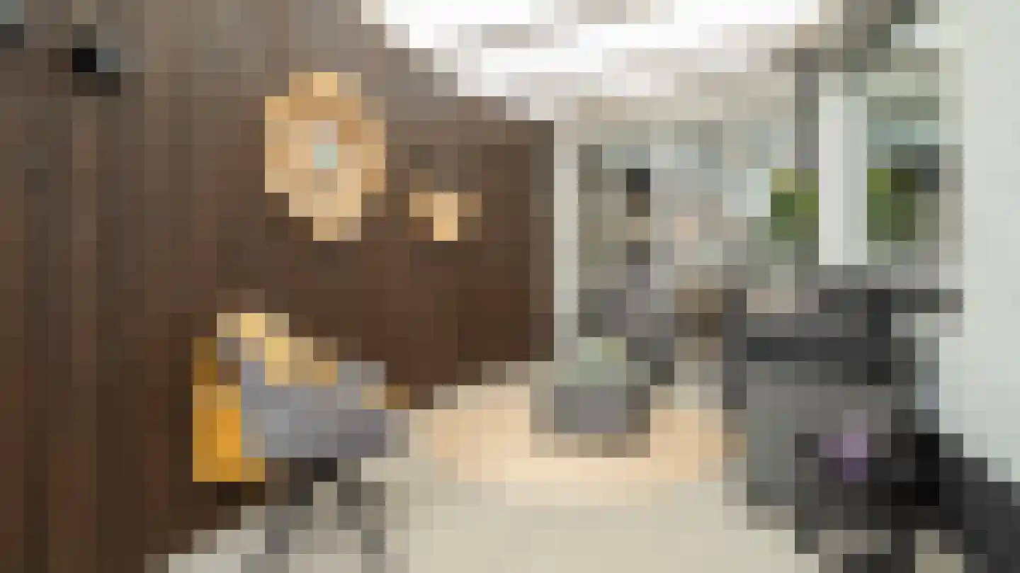 Bornerbroeksestraat 121 Almelo thumbnail 25