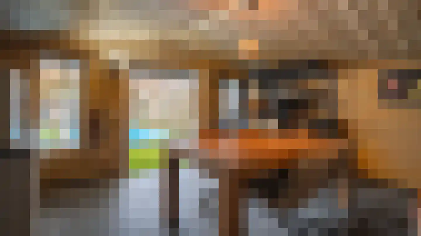 Bornerbroeksestraat 121 Almelo thumbnail 29
