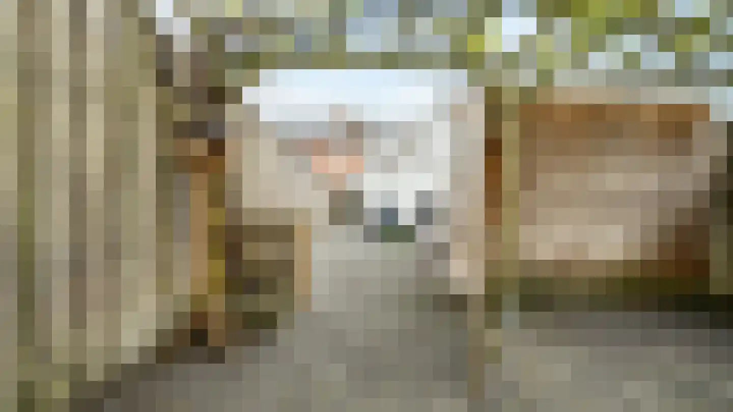 Bornerbroeksestraat 121 Almelo thumbnail 32