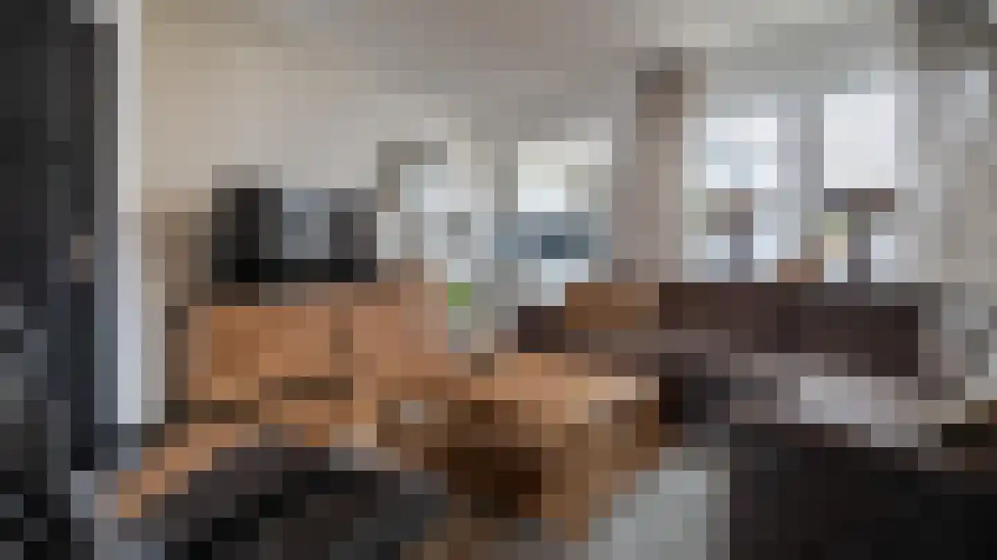 Bornerbroeksestraat 121 Almelo thumbnail 6