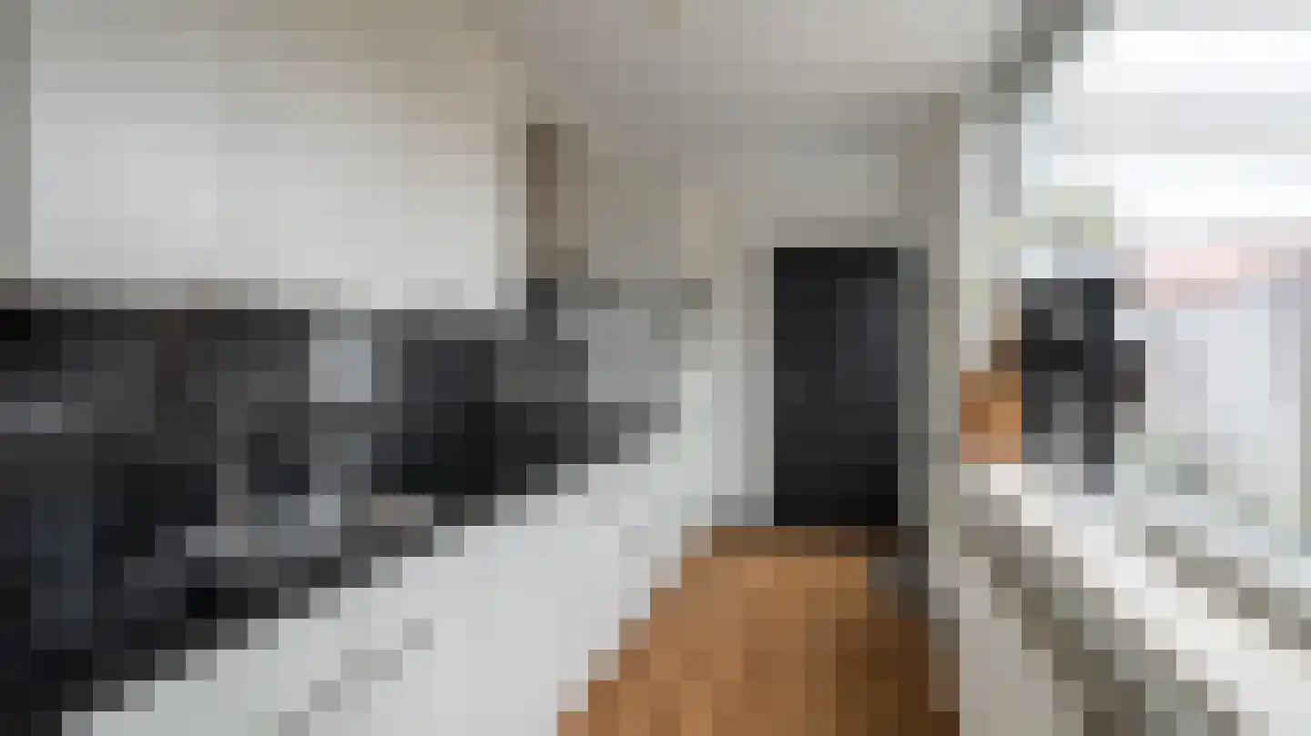 Bornerbroeksestraat 121 Almelo thumbnail 7