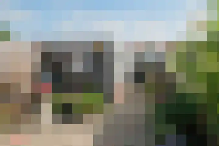 Bornerbroeksestraat 122 Almelo thumbnail 14