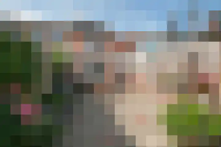 Bornerbroeksestraat 122 Almelo thumbnail 15
