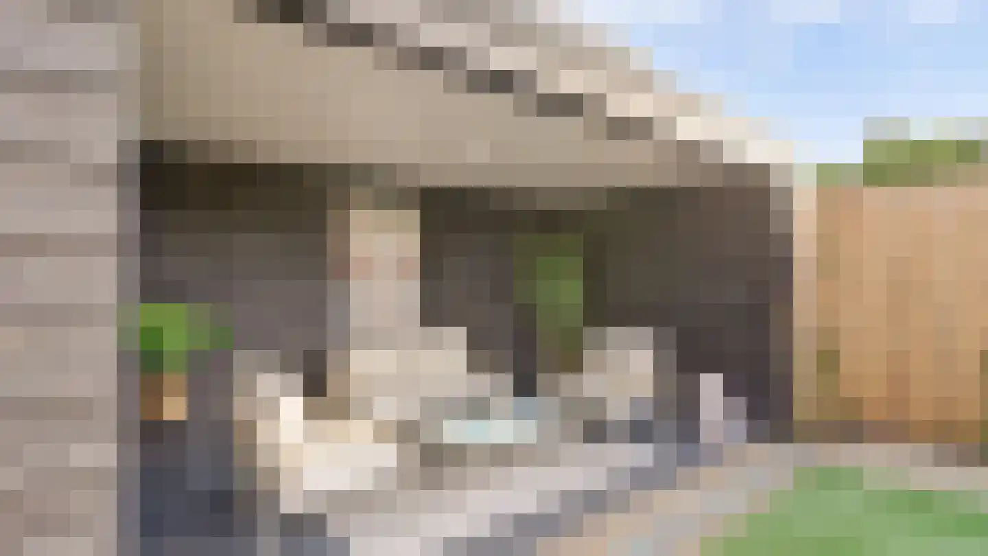 Bornerbroeksestraat 126 Almelo thumbnail 28