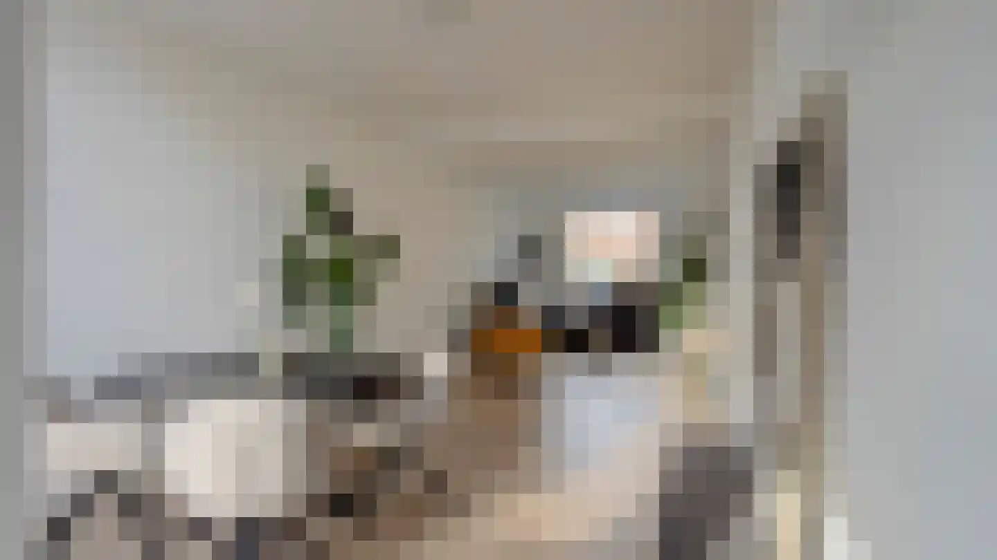 Bornerbroeksestraat 126 Almelo thumbnail 5