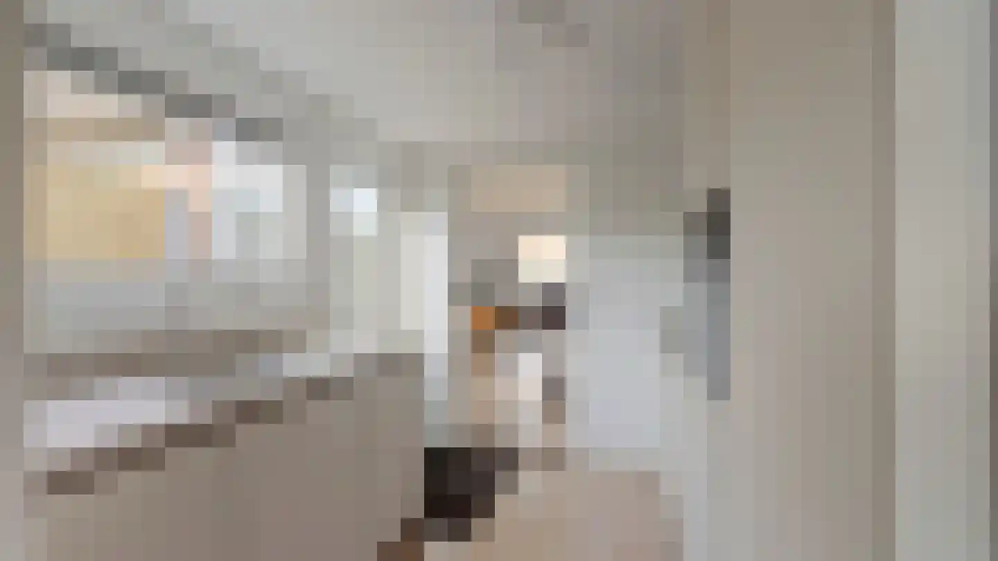 Bornerbroeksestraat 126 Almelo thumbnail 7