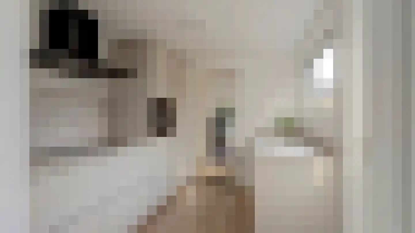 Bornerbroeksestraat 126 Almelo thumbnail 8