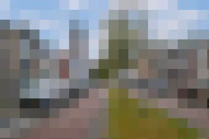 Bornerbroeksestraat 128 Almelo thumbnail 27