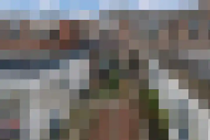 Bornerbroeksestraat 128 Almelo thumbnail 4