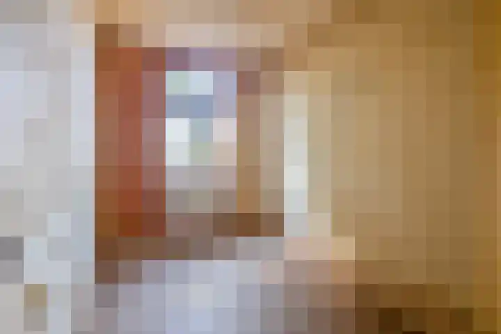Bornerbroeksestraat 129 Almelo thumbnail 24