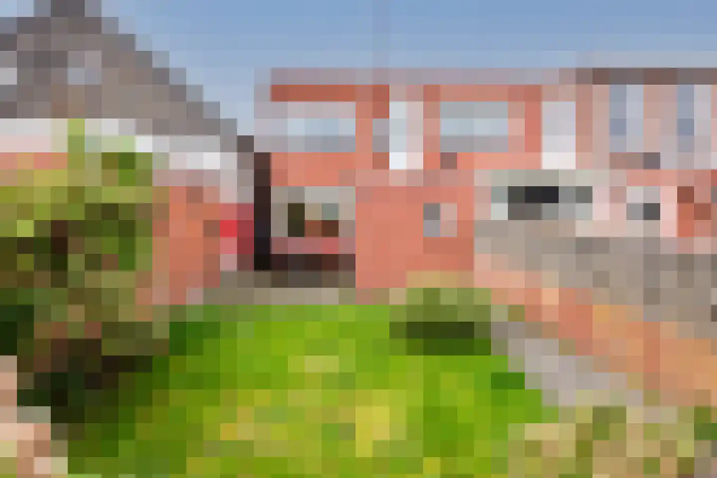 Bornerbroeksestraat 136 Almelo thumbnail 23