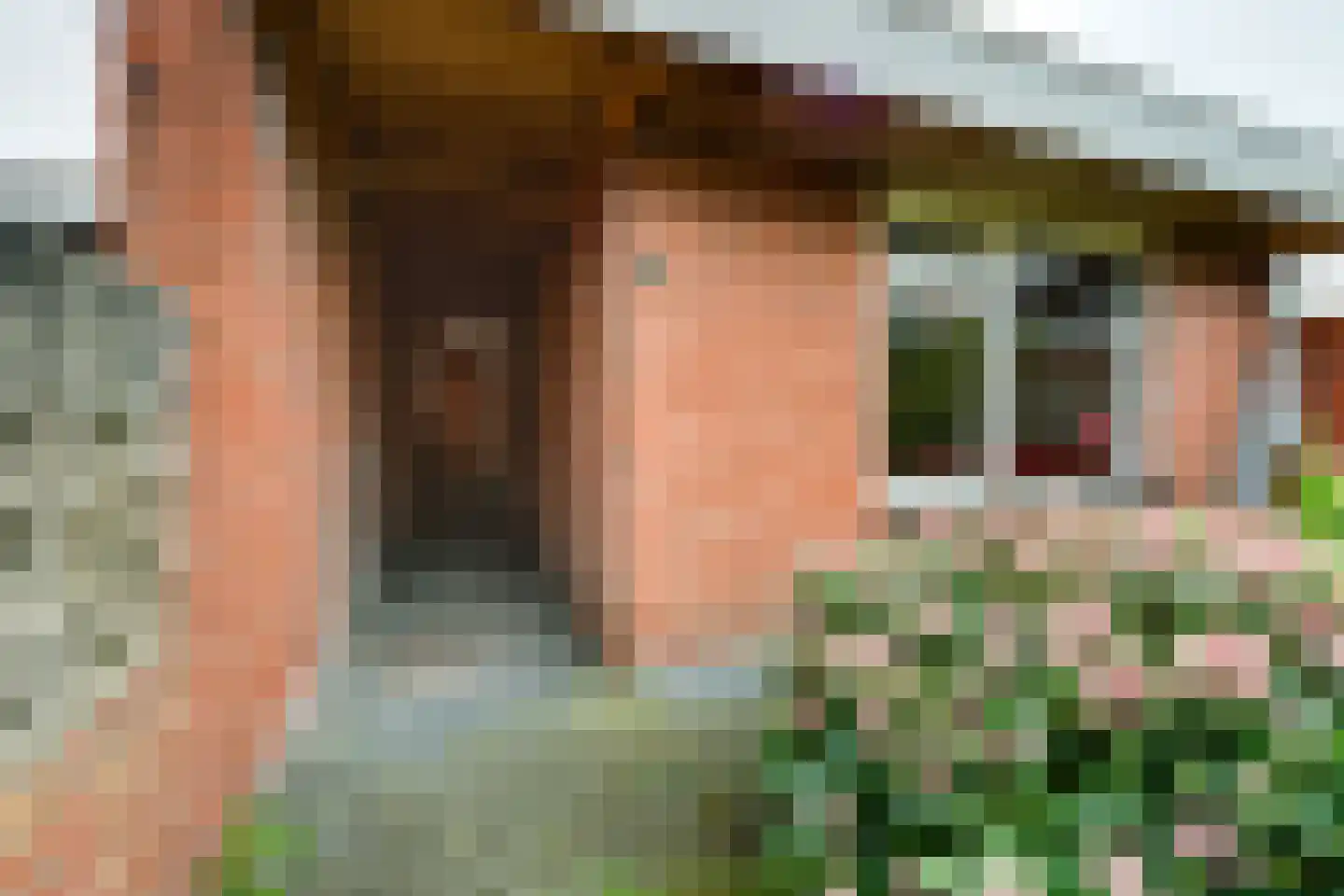 Bornerbroeksestraat 136 Almelo thumbnail 26