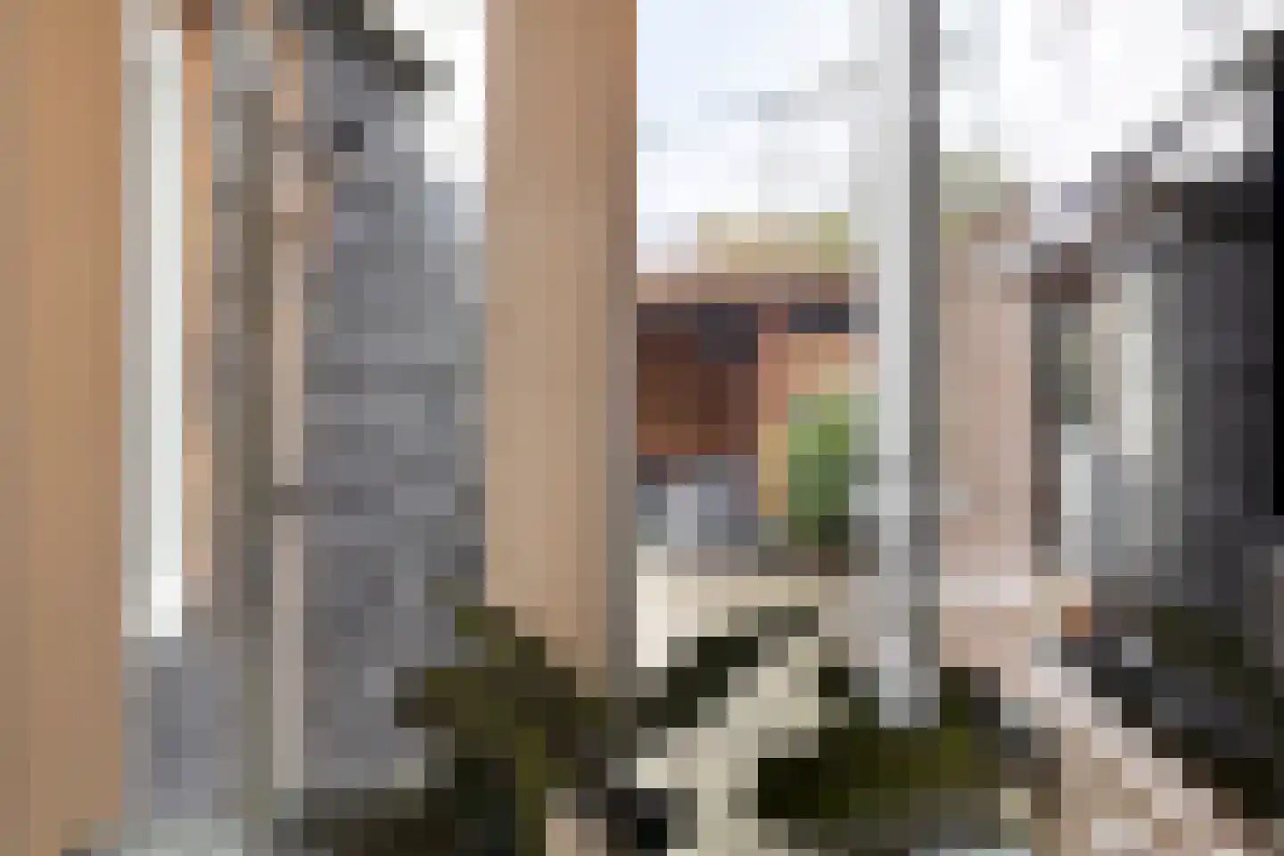 Bornerbroeksestraat 176 Almelo thumbnail 19