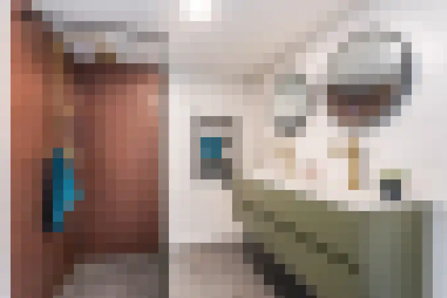 Bornerbroeksestraat 19 e Almelo thumbnail 15