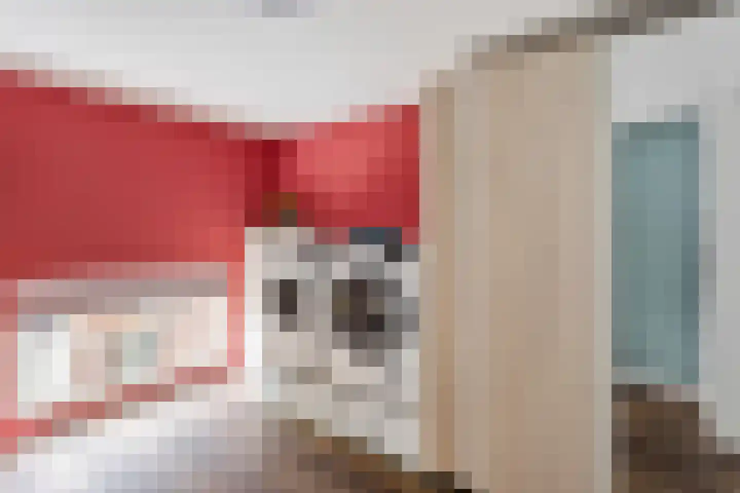 Bornerbroeksestraat 19 e Almelo thumbnail 19