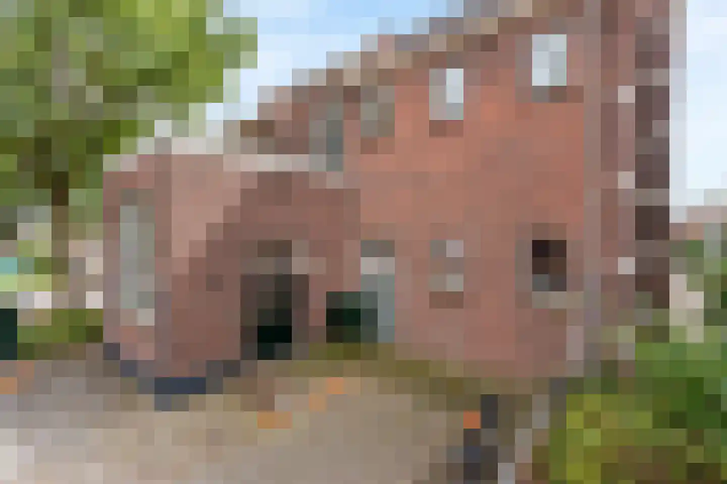 Bornerbroeksestraat 19 e Almelo thumbnail 20
