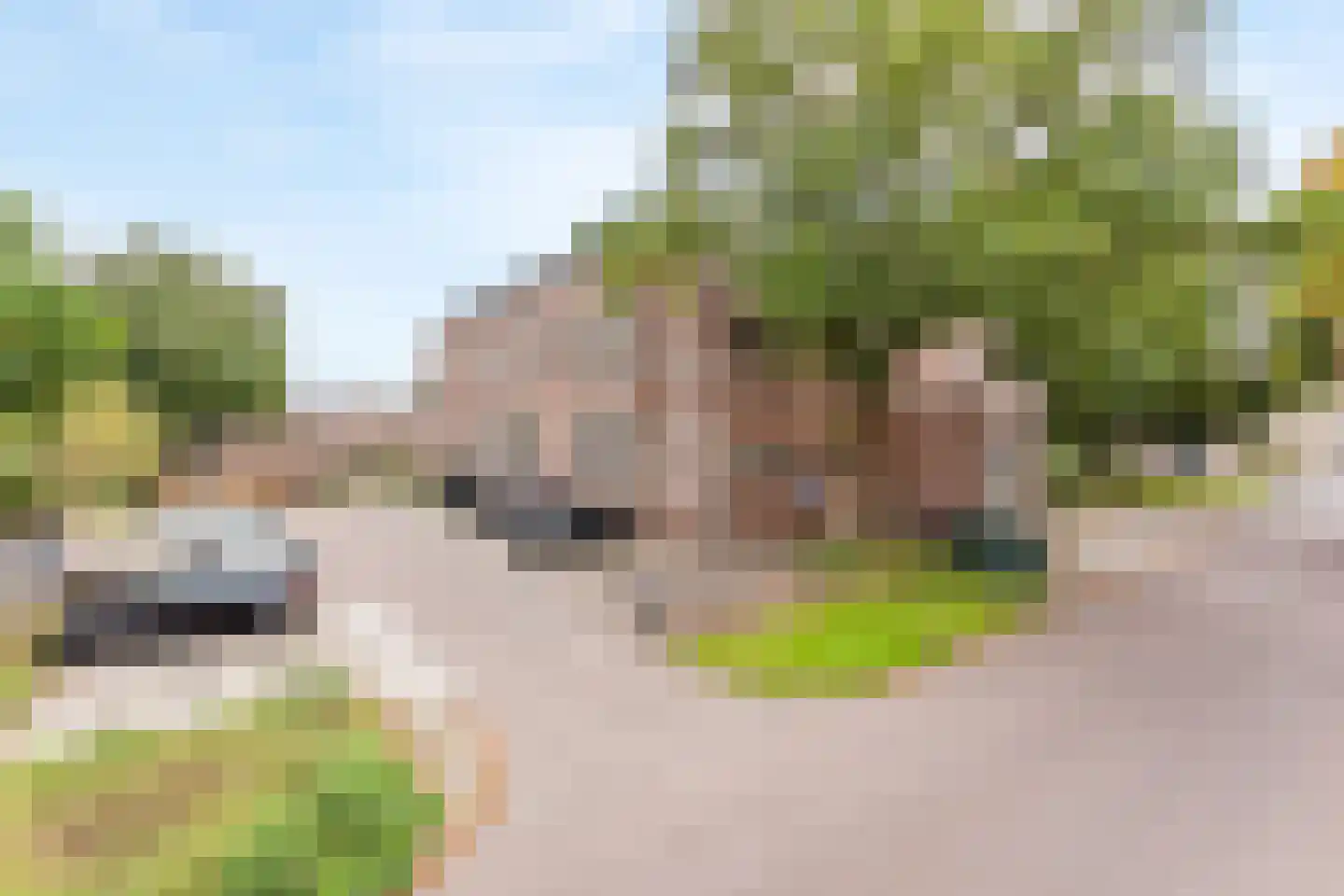 Bornerbroeksestraat 19 e Almelo thumbnail 22