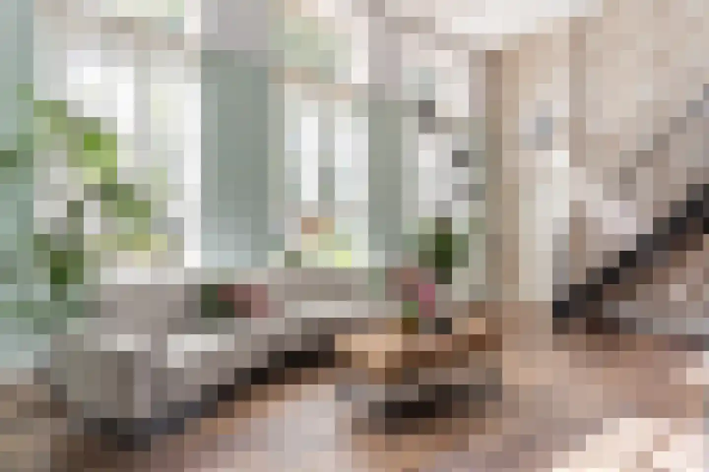 Bornerbroeksestraat 19 e Almelo thumbnail 9