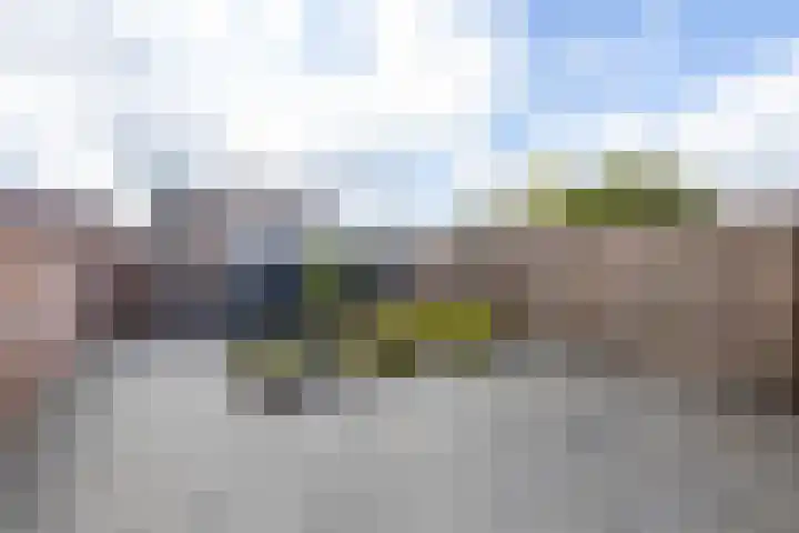 Bornerbroeksestraat 195 Almelo thumbnail 16