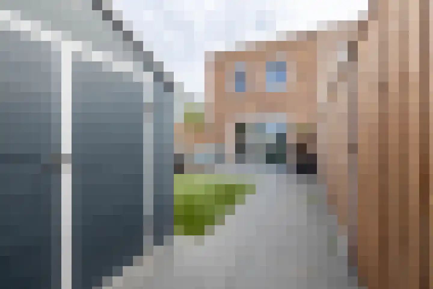 Bornerbroeksestraat 199 Almelo thumbnail 18