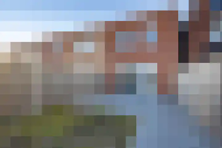 Bornerbroeksestraat 207 Almelo thumbnail 4