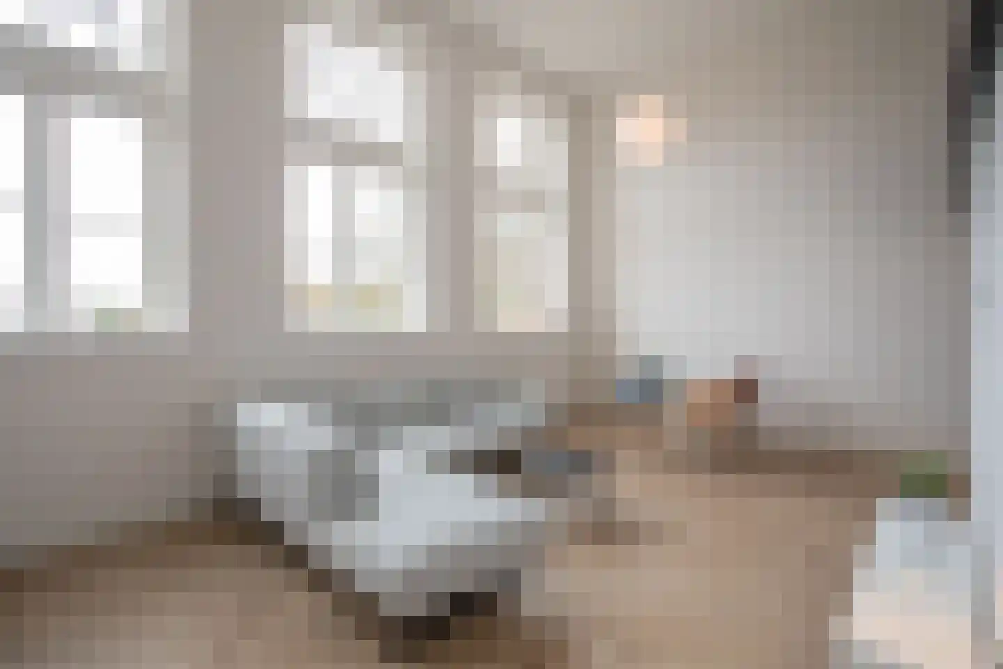 Bornerbroeksestraat 21 b Almelo thumbnail 23