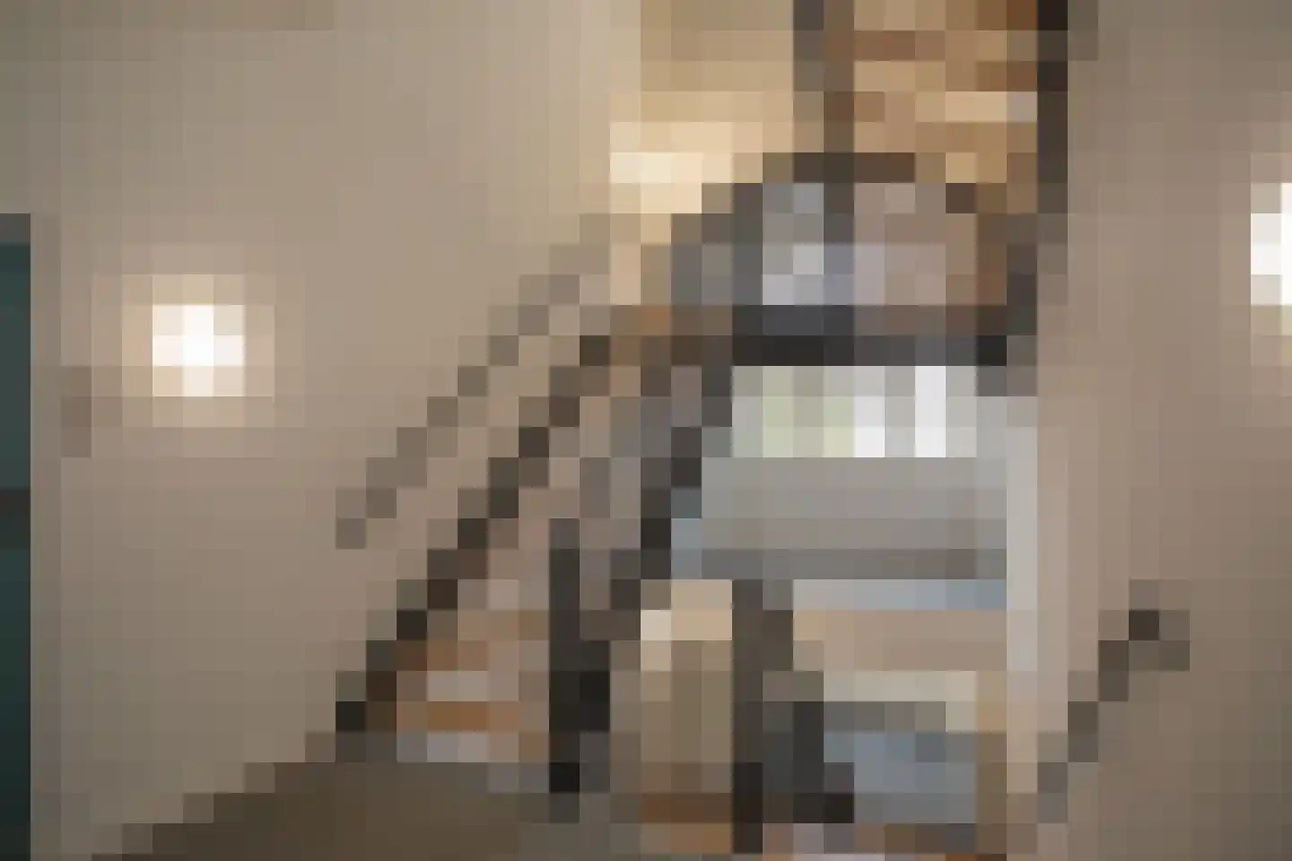 Bornerbroeksestraat 21 b Almelo thumbnail 30