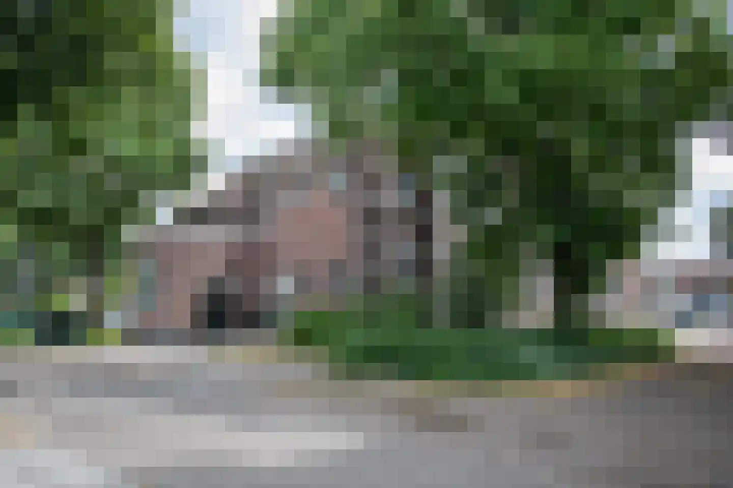 Bornerbroeksestraat 21 b Almelo thumbnail 31