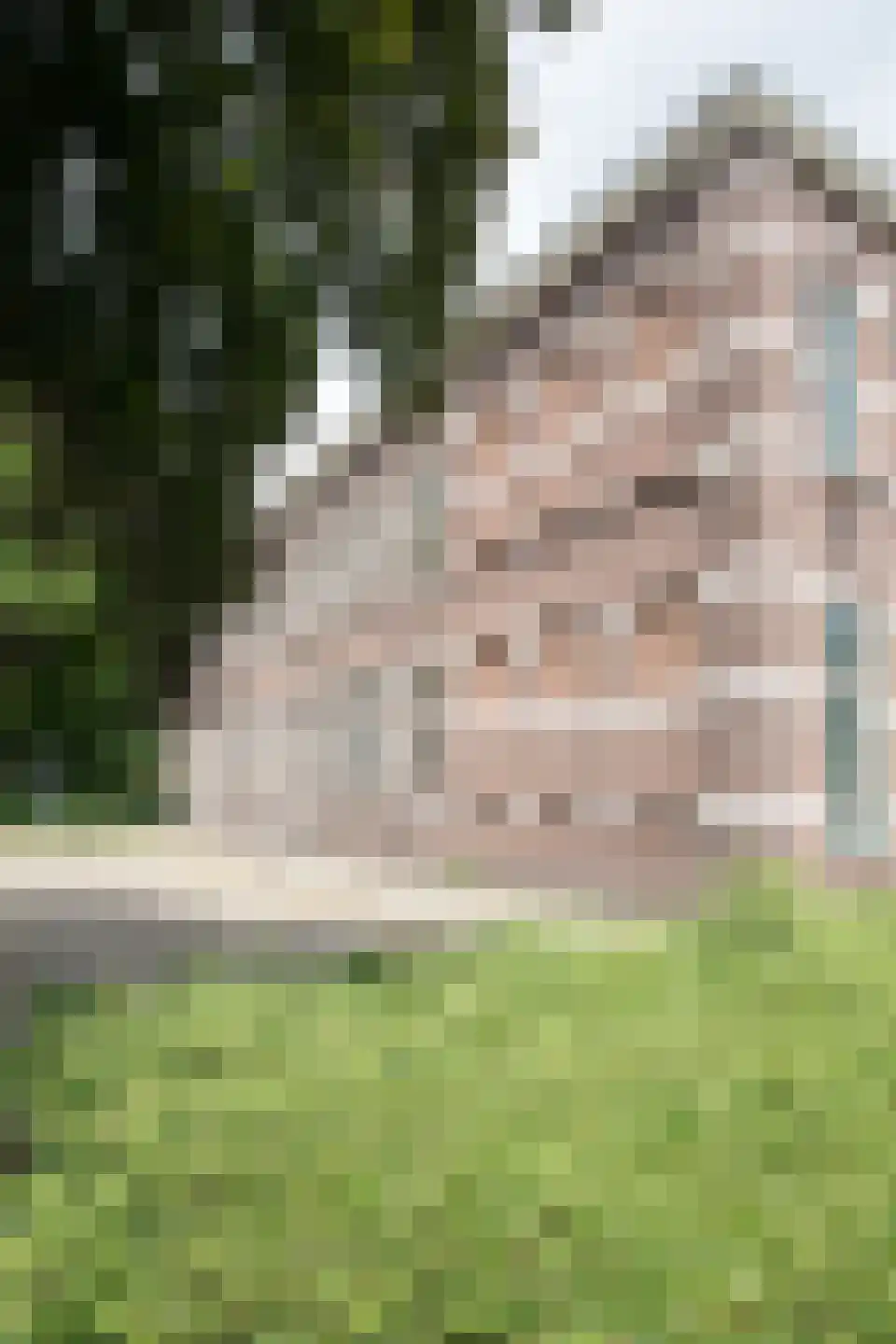 Bornerbroeksestraat 21 b Almelo thumbnail 32