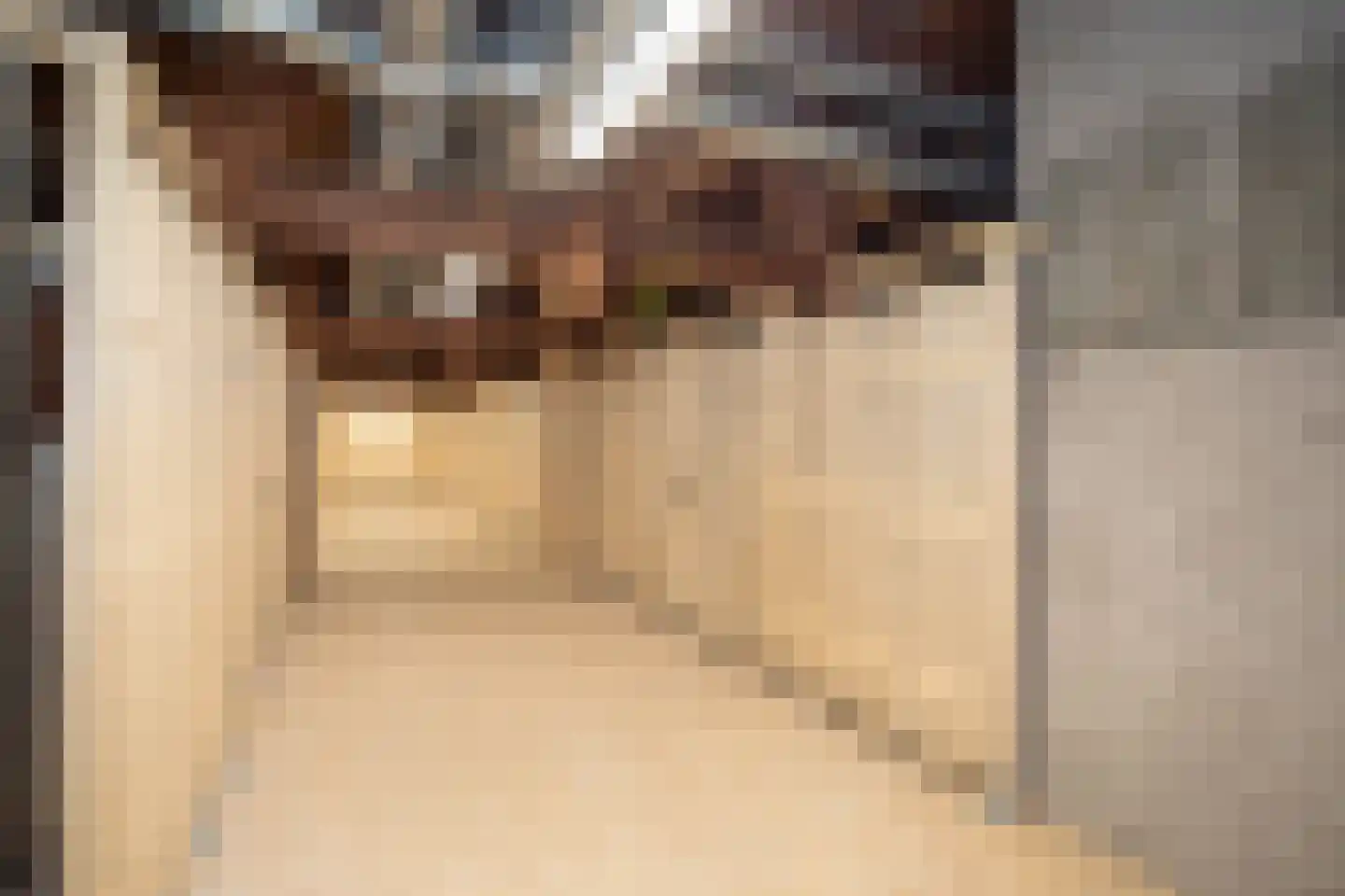 Bornerbroeksestraat 21 b Almelo thumbnail 37