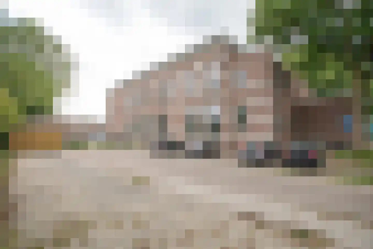 Bornerbroeksestraat 21 b Almelo thumbnail 6