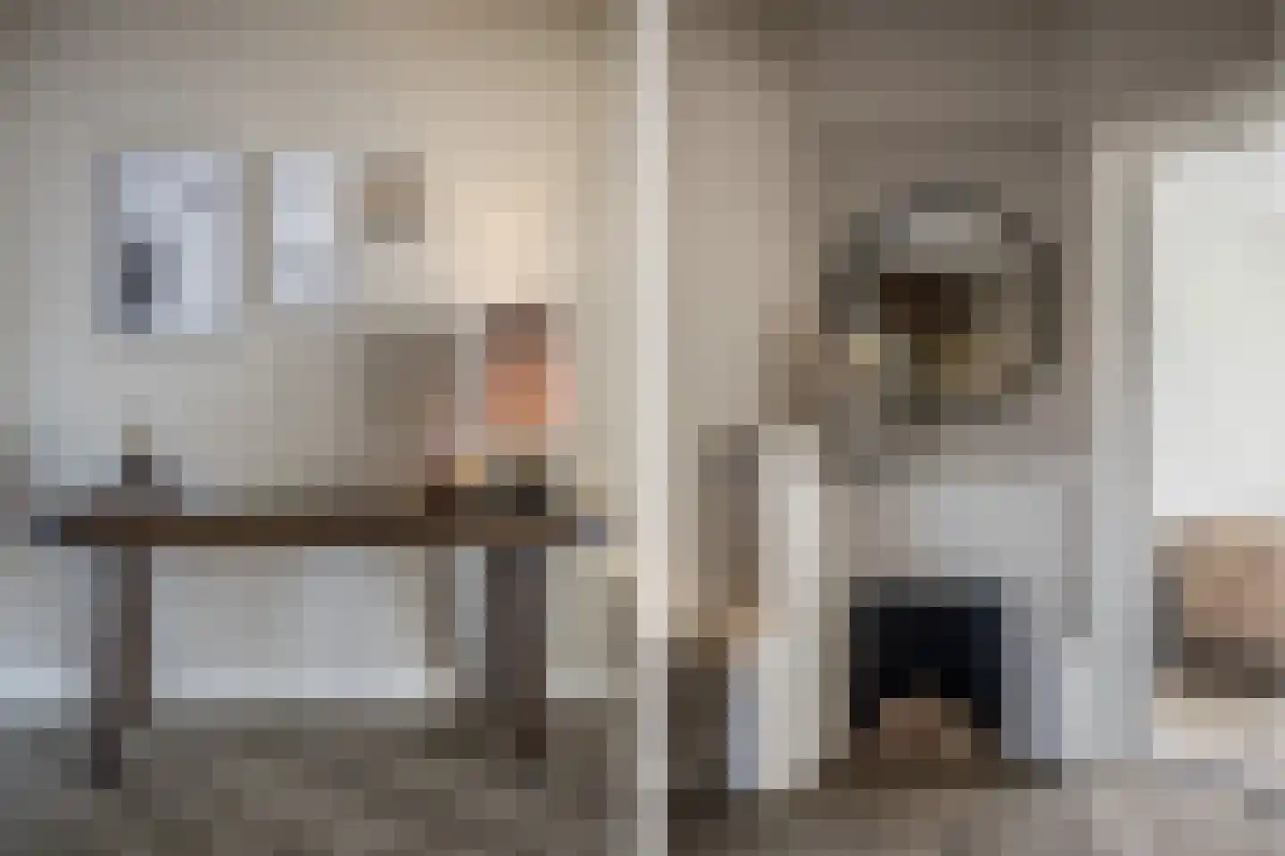 Bornerbroeksestraat 294 Almelo thumbnail 17
