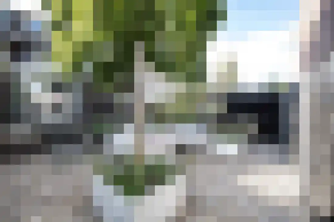 Bornerbroeksestraat 294 Almelo thumbnail 4