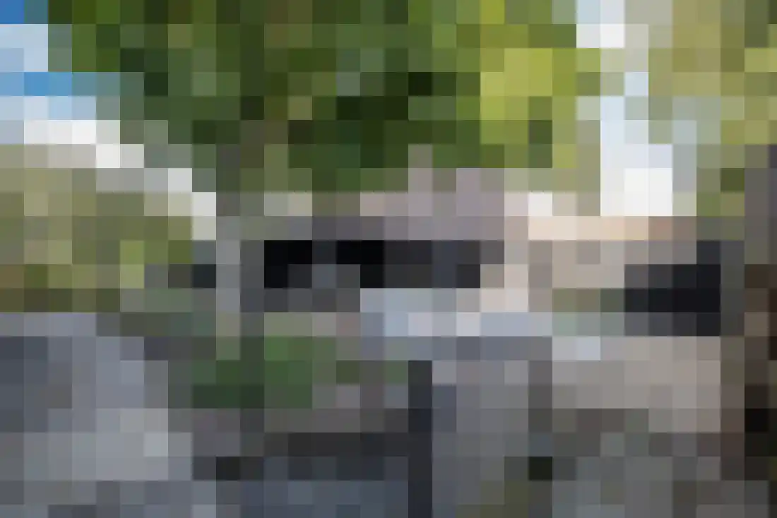 Bornerbroeksestraat 294 Almelo thumbnail 42