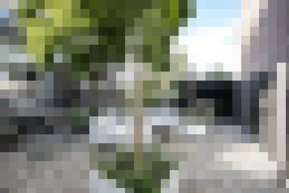 Bornerbroeksestraat 294 Almelo thumbnail 43