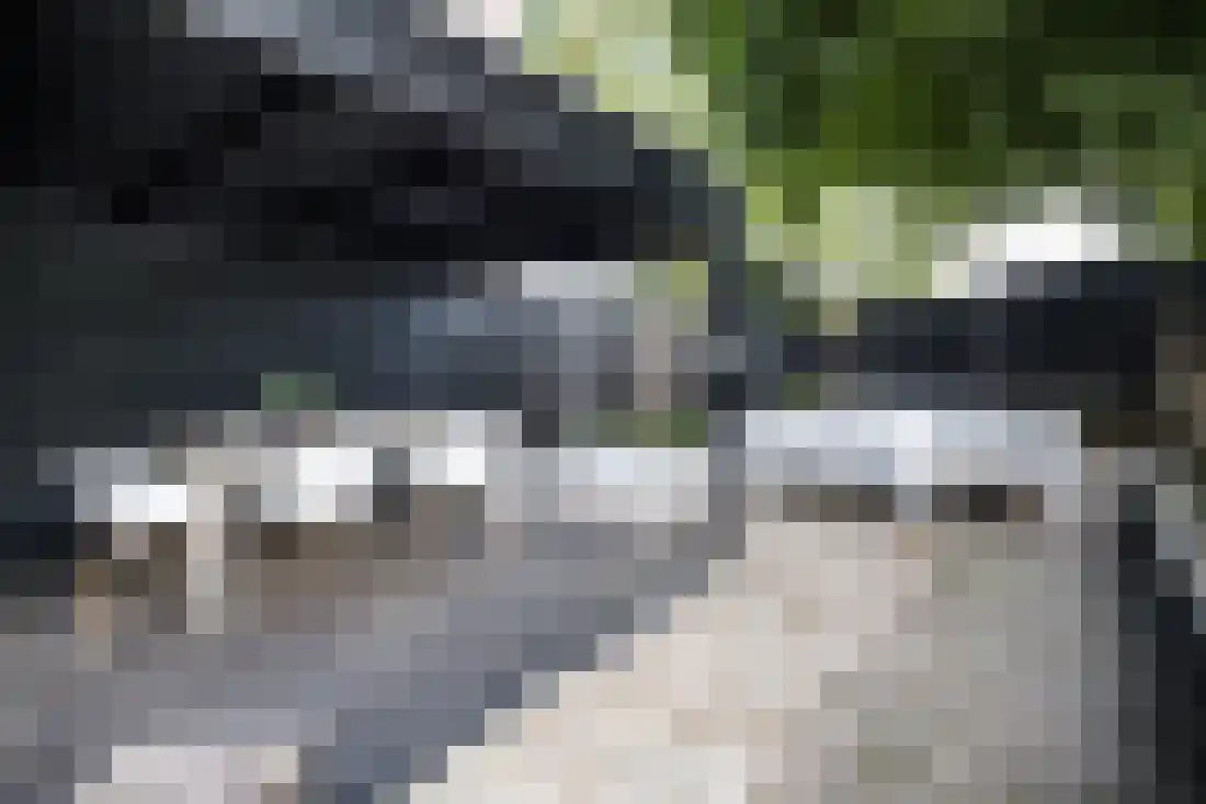 Bornerbroeksestraat 294 Almelo thumbnail 47