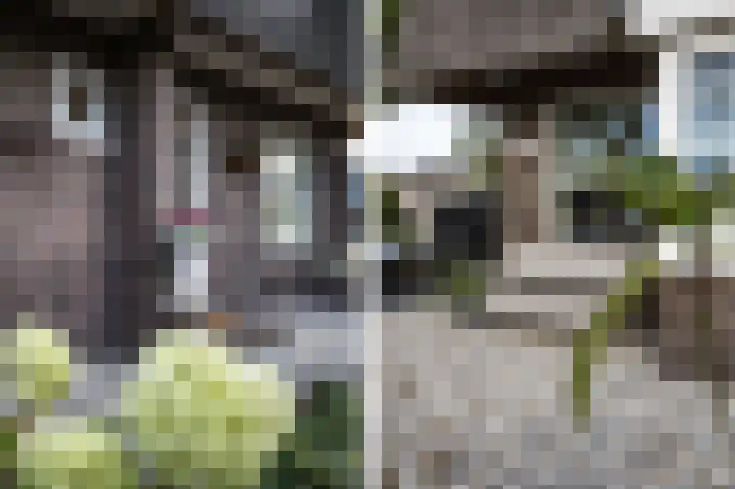 Bornerbroeksestraat 294 Almelo thumbnail 7