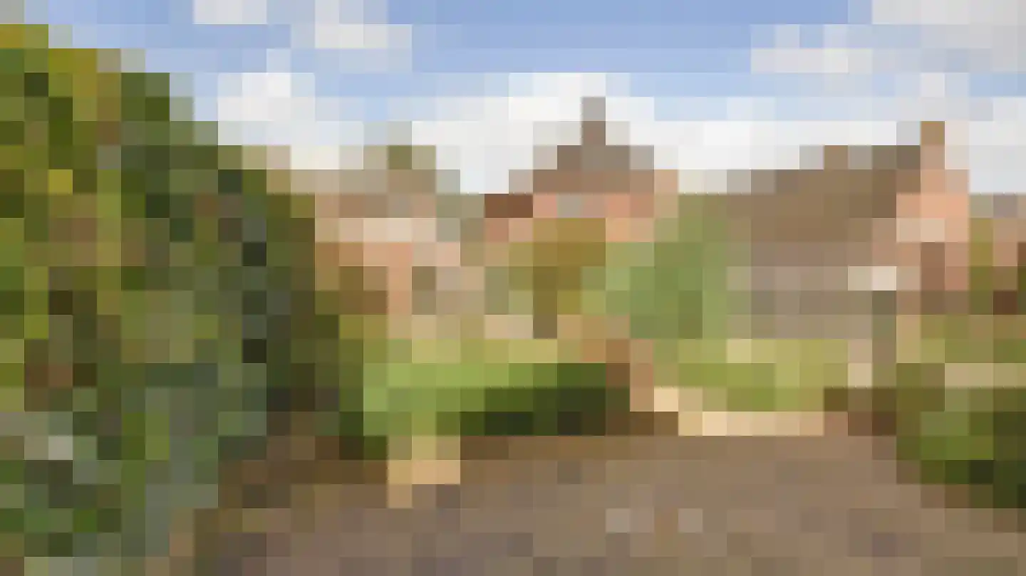 Bornerbroeksestraat 328 Almelo thumbnail 30