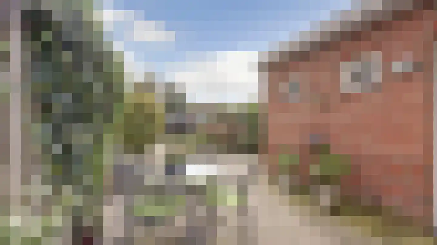 Bornerbroeksestraat 328 Almelo thumbnail 34
