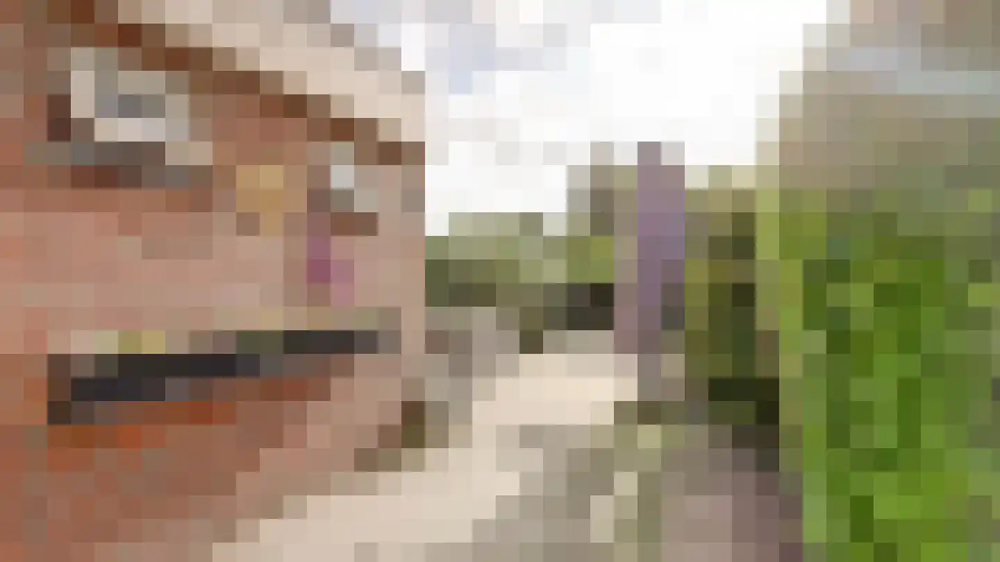 Bornerbroeksestraat 330 Almelo thumbnail 30