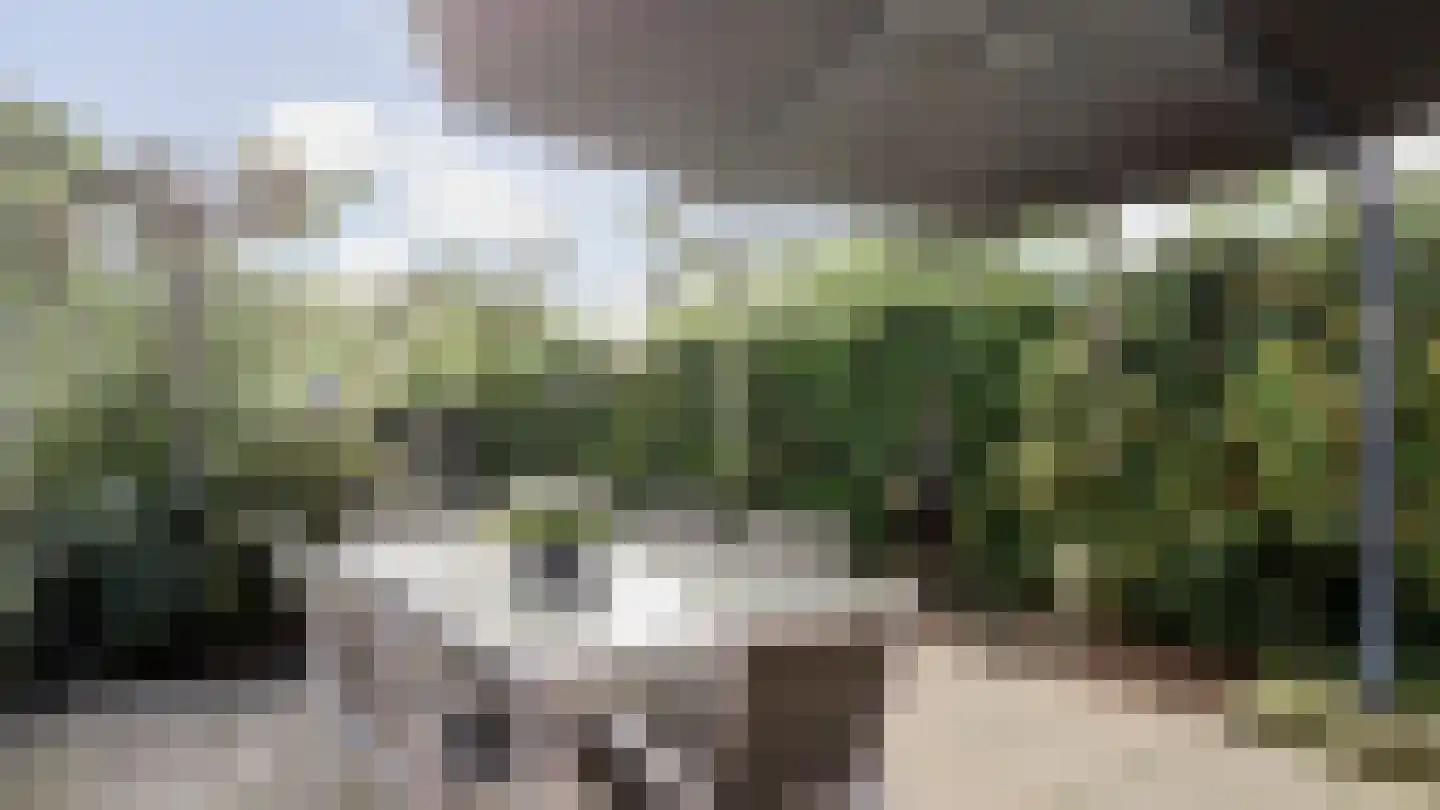Bornerbroeksestraat 330 Almelo thumbnail 33