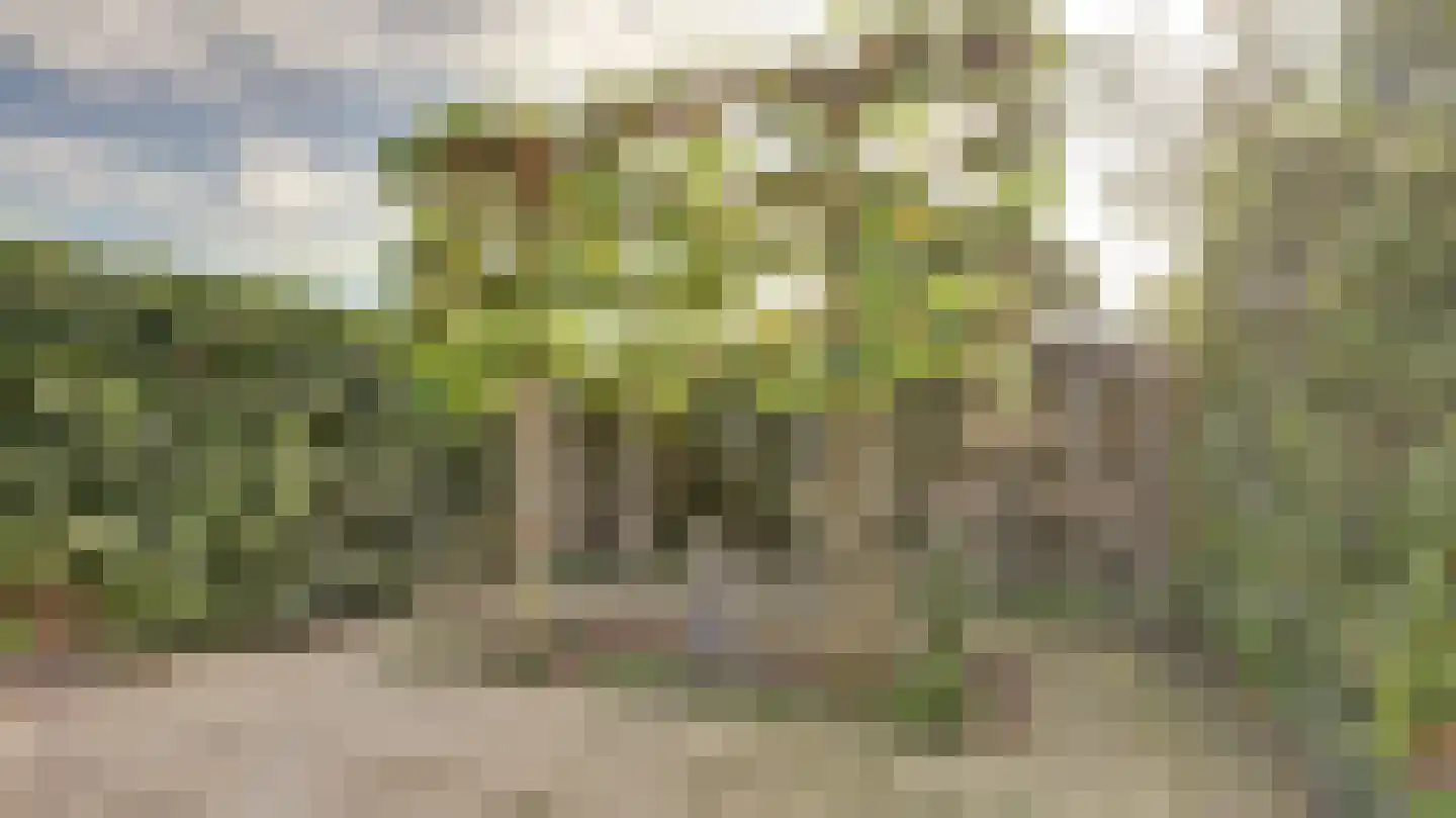 Bornerbroeksestraat 330 Almelo thumbnail 37