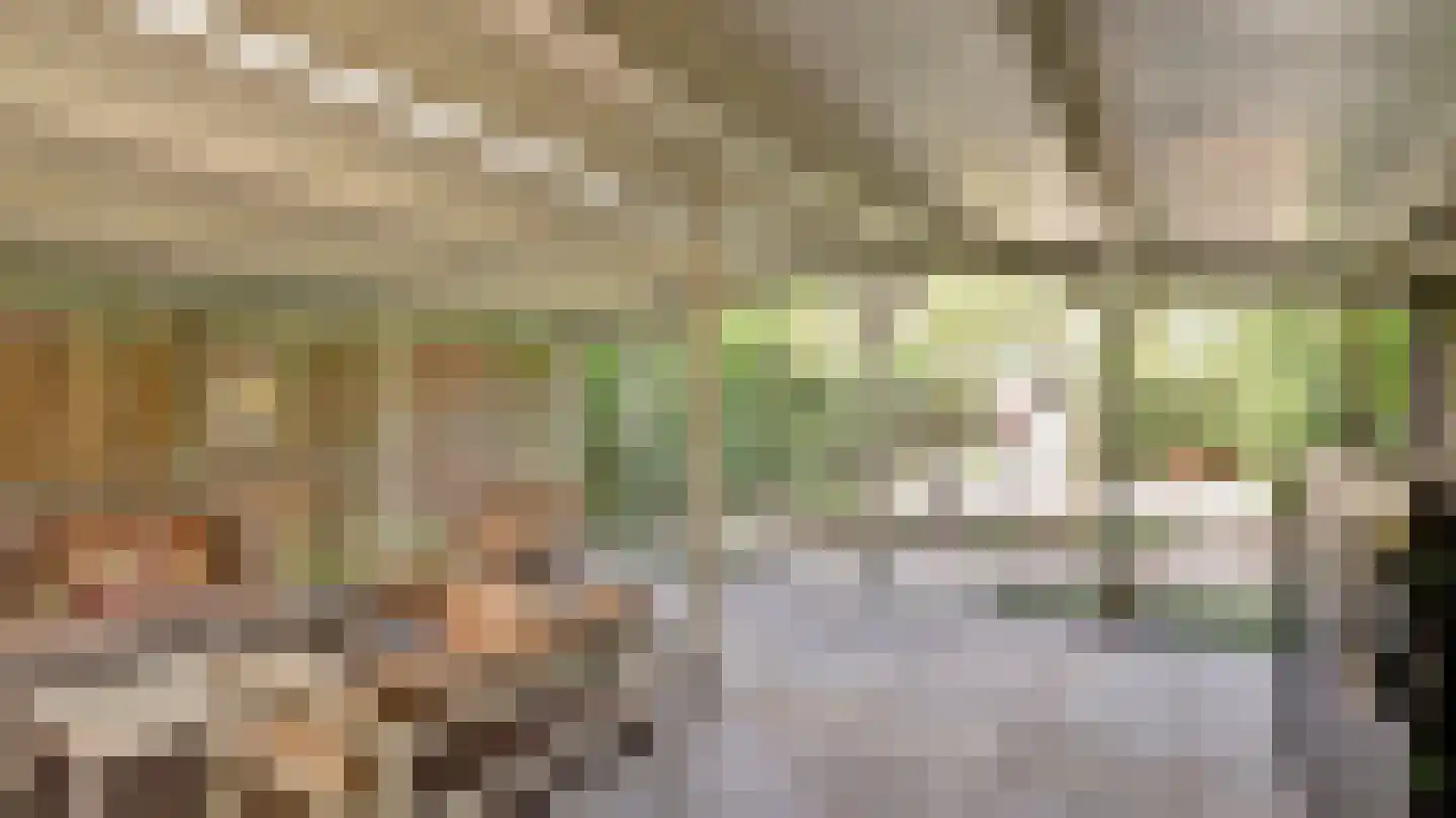 Bornerbroeksestraat 330 Almelo thumbnail 39