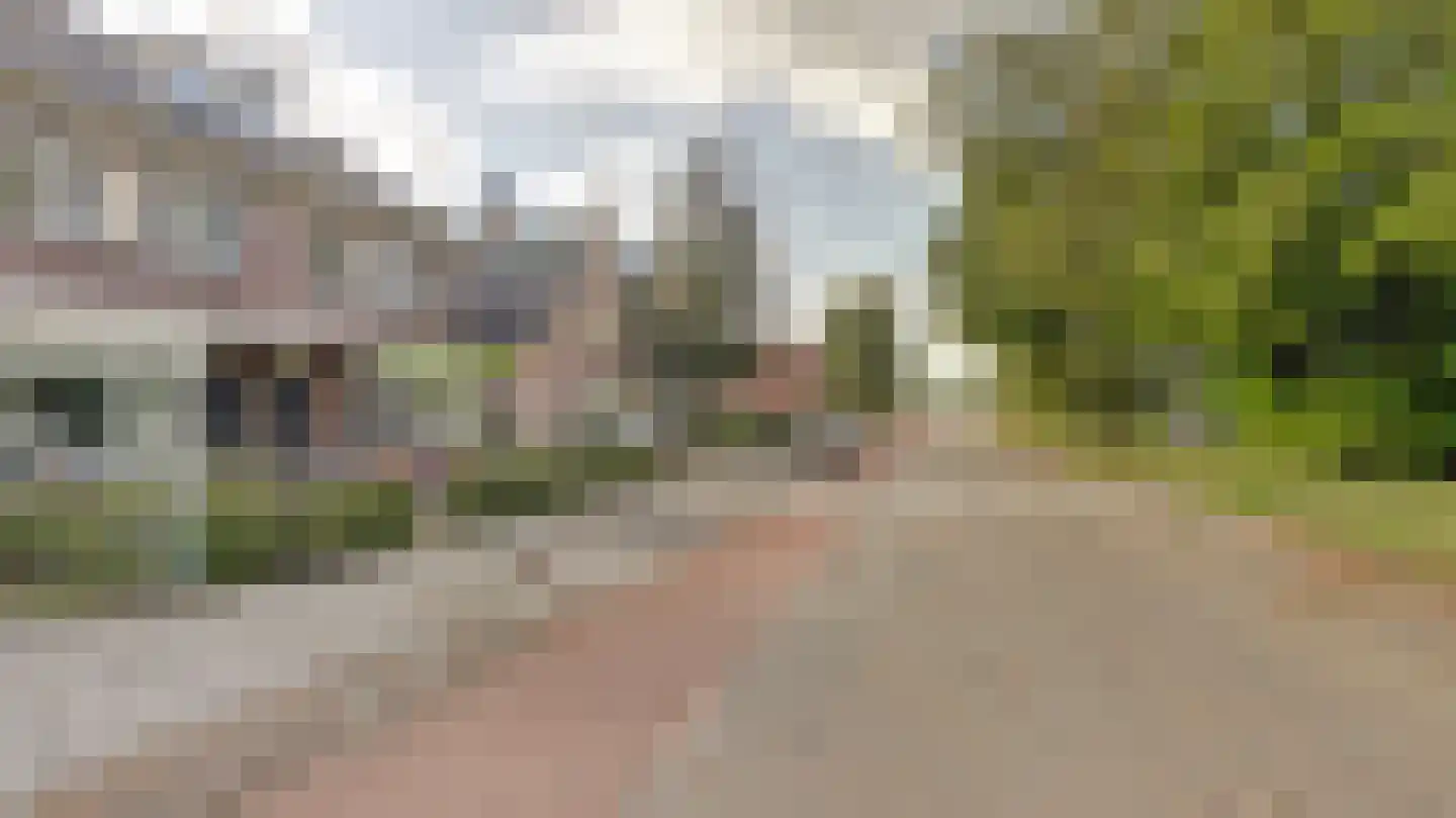 Bornerbroeksestraat 330 Almelo thumbnail 44