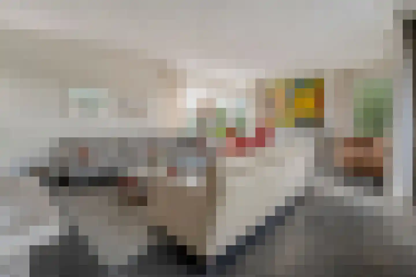Bornerbroeksestraat 457 f Almelo thumbnail 12