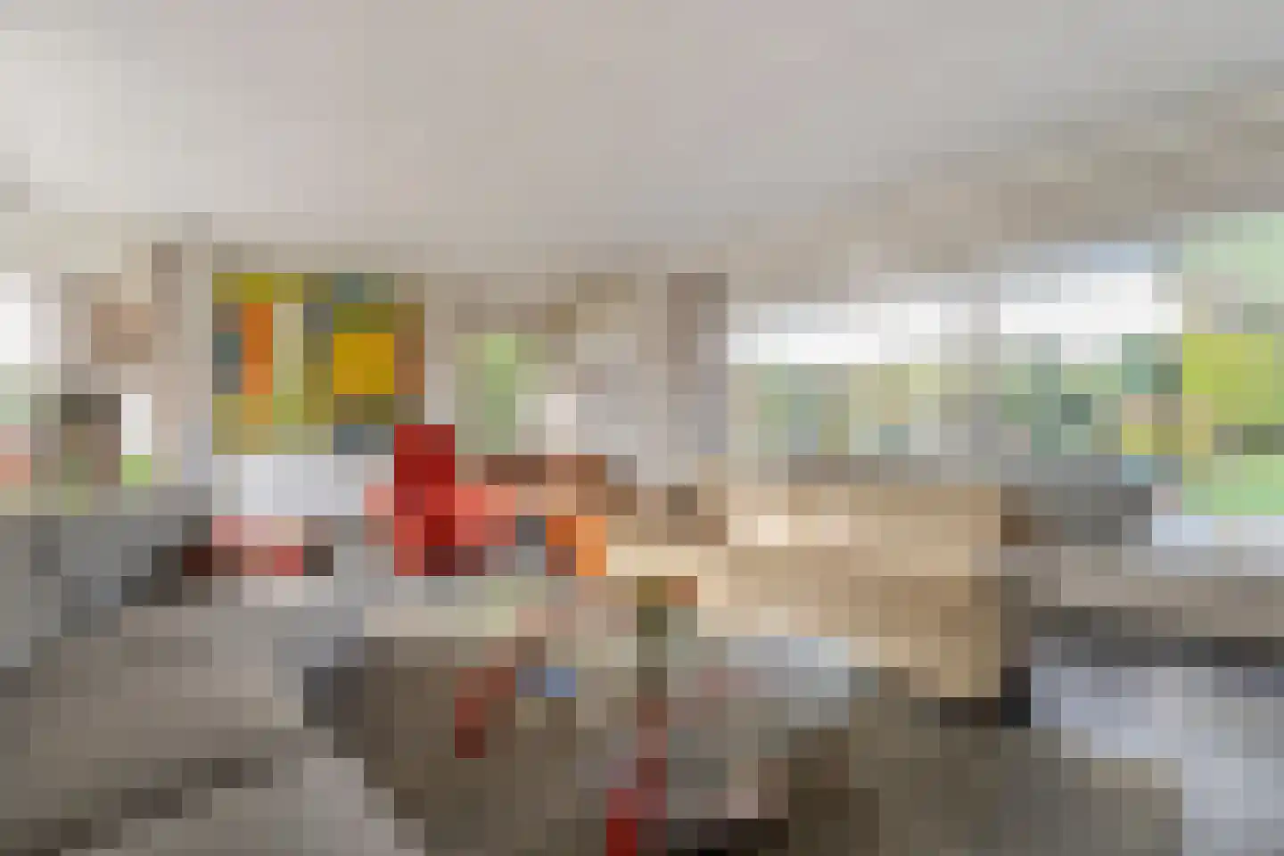 Bornerbroeksestraat 457 f Almelo thumbnail 16