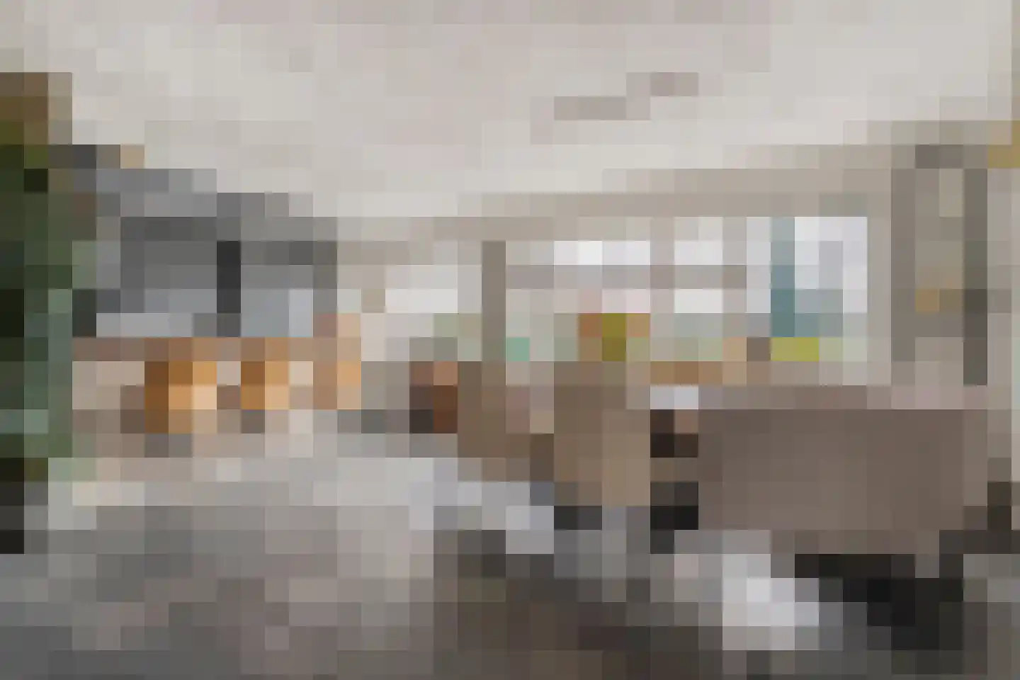 Bornerbroeksestraat 457 f Almelo thumbnail 17