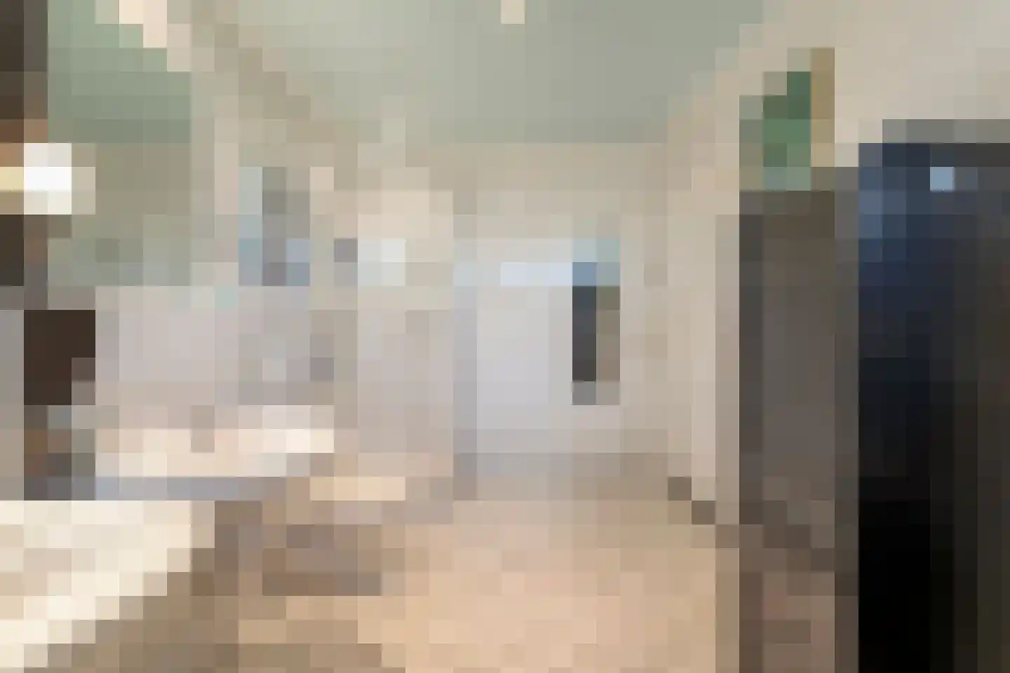 Bornerbroeksestraat 457 f Almelo thumbnail 29